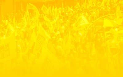 Sobornos en recuperación de activos